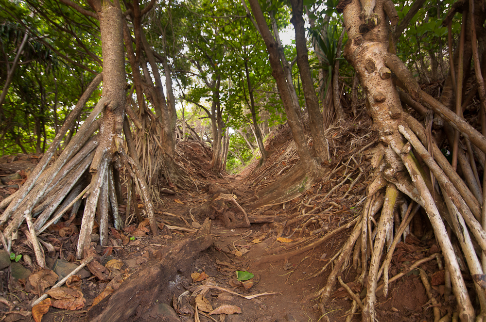 Secret Beach Trail conditions