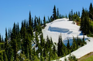 Huricane ridge trail photo