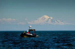 strait watch volunteers