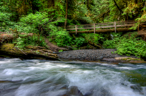 Olympic National Park