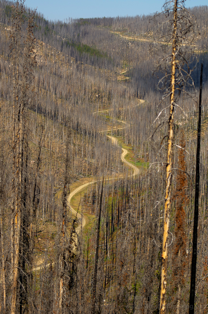 Cascade mountain back roads