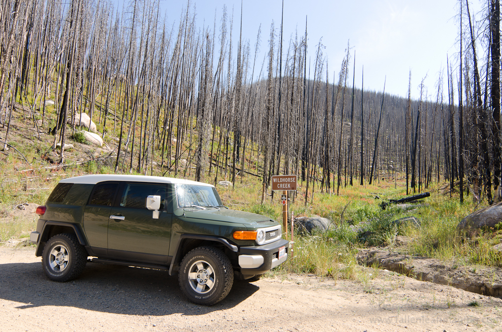 Toyota FJ in the Cascade Mountains