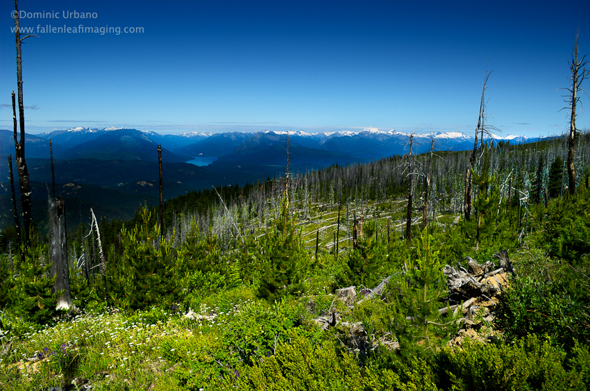 Sugarloaf fire look out view from Entiat ridge