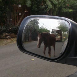 Driving in Costa Rica