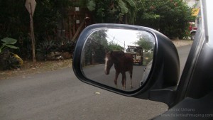 Driving in Costa Rica